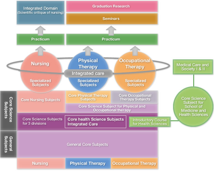 Image of Curriculum in the School of Health Sciences