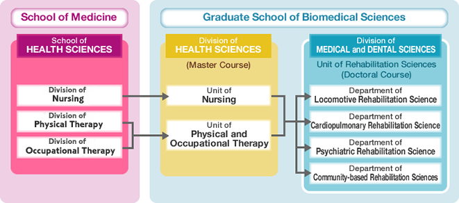 Process of enrolling in Graduate School from School of Medicine at Nagasaki university