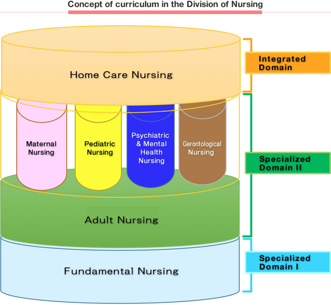 Concept of curriculum in the Division of Nursing 