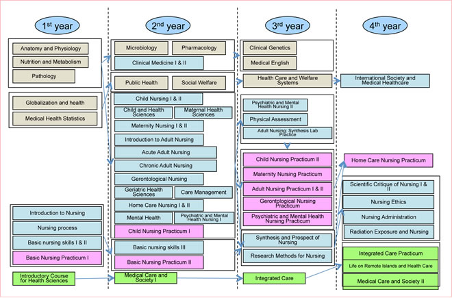 subjects table in the Division of Nursing