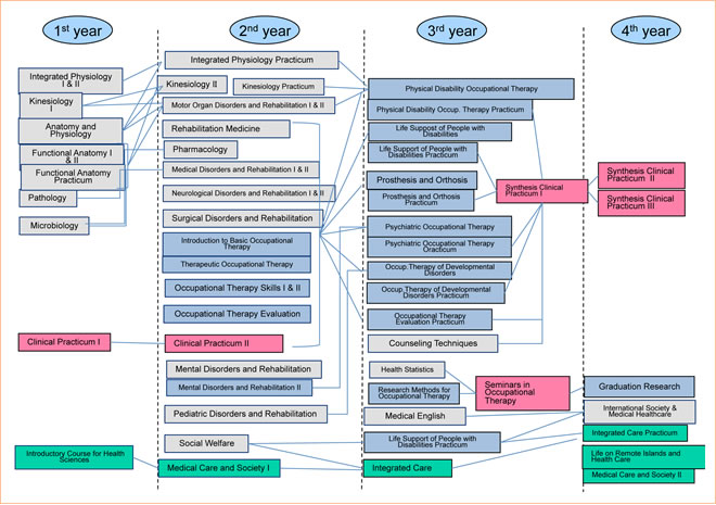 subjects table in the Division of Occupational Therapy