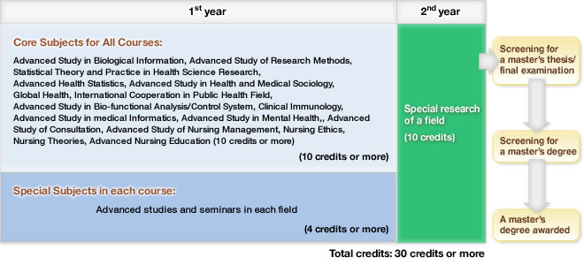 Master's Thesis Course