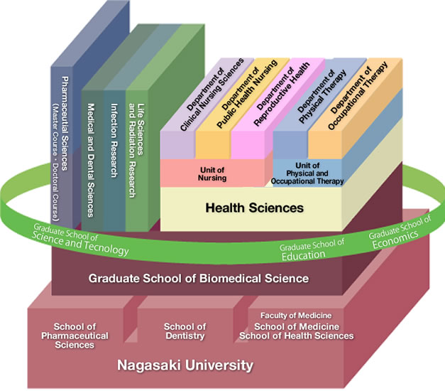 Organization of Health Sciences