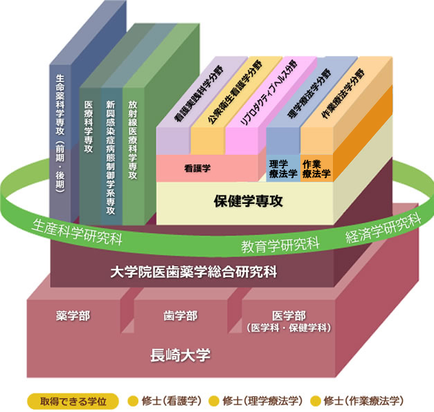 保健学専攻の構成