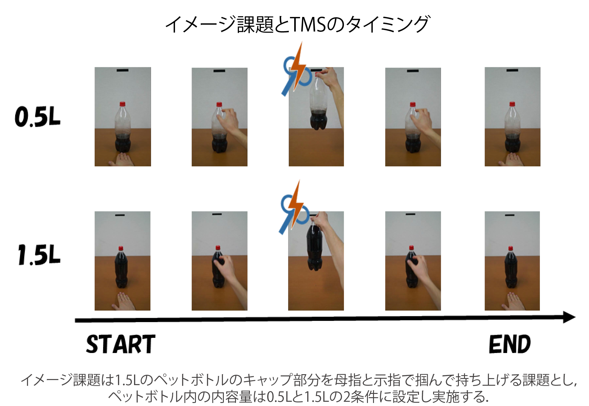 イメージ課題とTMSのタイミング