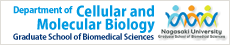 Department of Cellular and Molecular Biology, Nagasaki University Graduate School of Biomedical Sciences