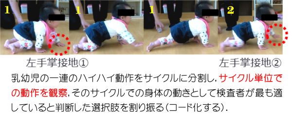 現在使用中の基準ですの写真